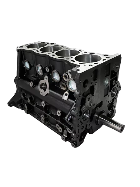 Cylinder Block Assembly